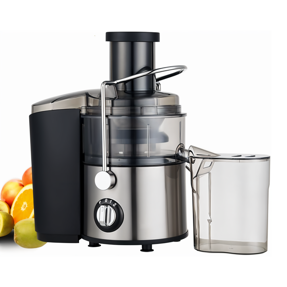 Entsafter Slow Juicer