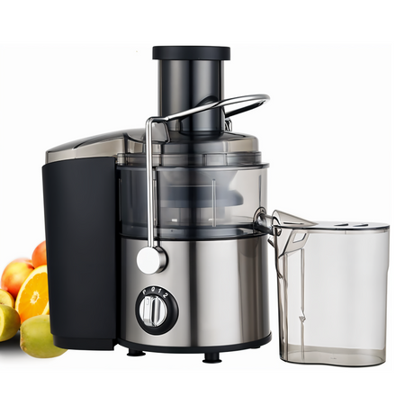 Entsafter Slow Juicer